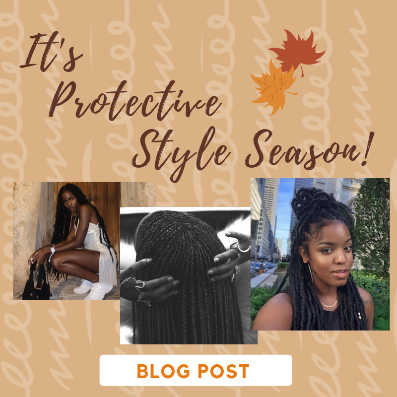 It's Protective Style Season! - Our Top 5 Protective Styles